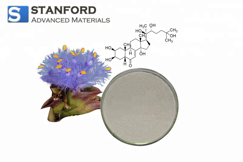 sc/1682580070-normal-cyanotis-arachnoidea-extract.jpg