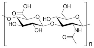 Structure of a hyaluronic acid monomer