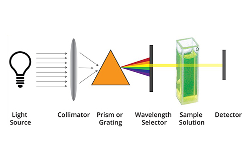 Absorption: Fundamentals And Applications