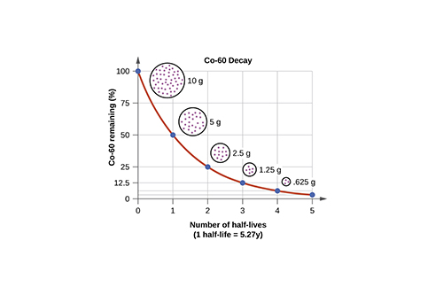 Half-life Of Radioactive Elements