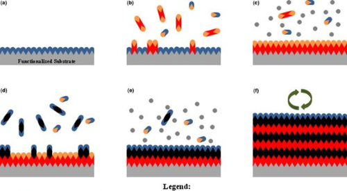 Process of Atomic Layer Deposition (ALD)