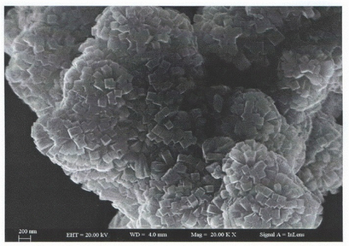 Controlling Nitrogen Dioxide Sensitivity By Regulating The Concentration of Defects On The Surface of Tin Dioxide