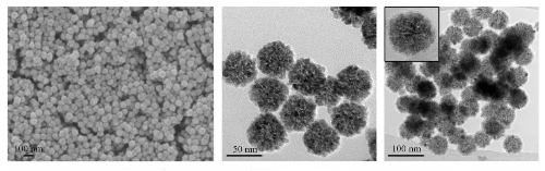 SEM and TEM Images of SnO2NBs and SnO2@C