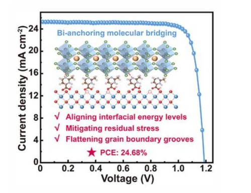 Double Anchoring of TPPO Molecules at the SnO2/Perovskite Interface
