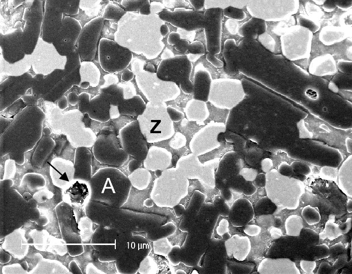 Micro Structure of ZTA