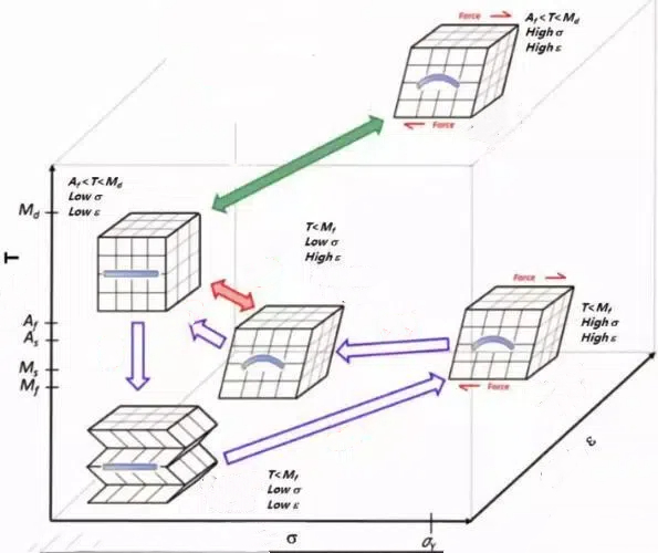 Shape Memory Effect