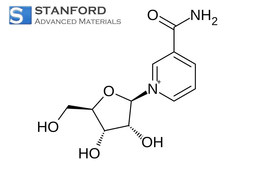 sc/1761121790-HA4817.jpg