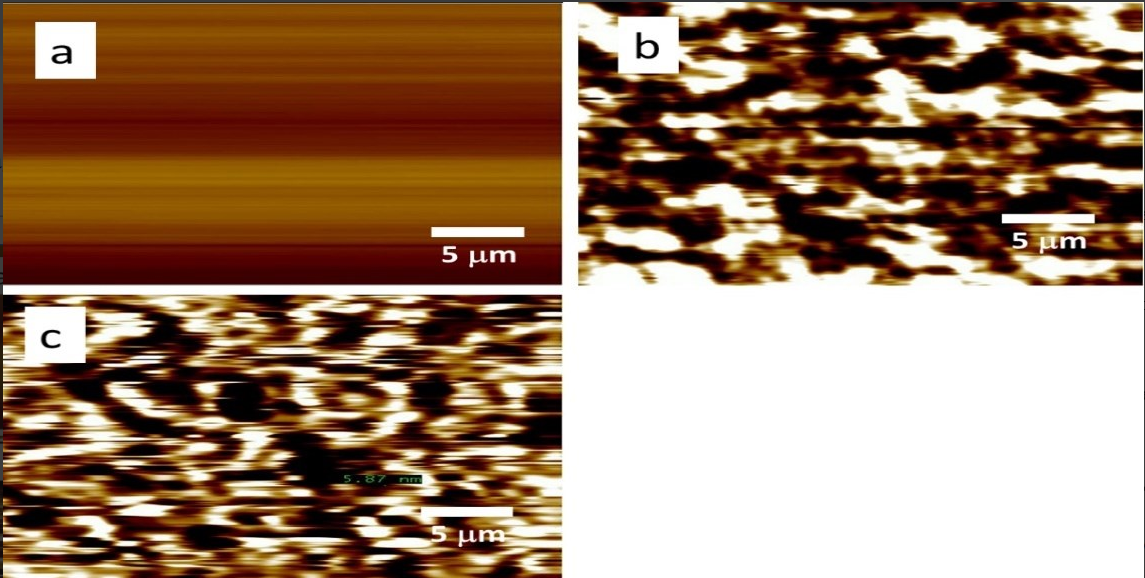 sc/1761534109-normal-217ba641ccf8470facf53d6e30bfbdca.png sc/1761534109-normal-217ba641ccf8470facf53d6e30bfbdca.png
