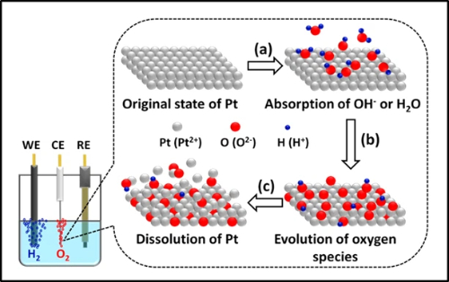 Platinum Dissolution Phenomenon in the Electrochemical Water Splitting Process for Hydrogen Production