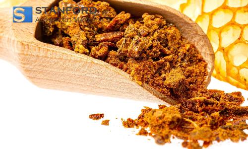 Propolis Extract G Powder
