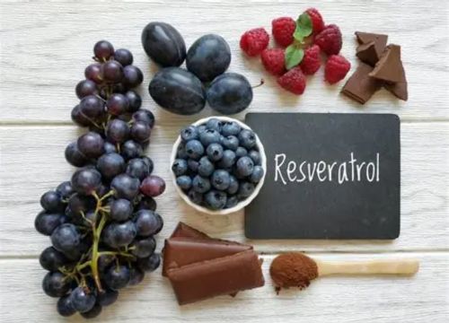 Resveratrol
