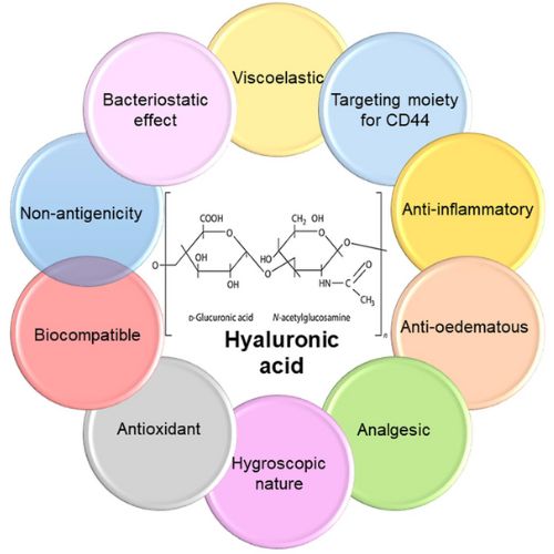 Hyaluronic Acid effects Hyaluronic Acid effects