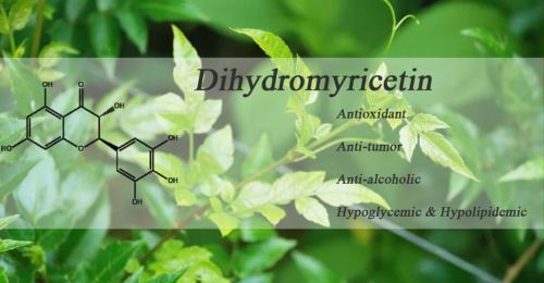 Dihydromyricetin.benefits