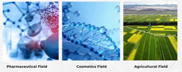 Applications of Ursolic Acid Applications of Ursolic Acid