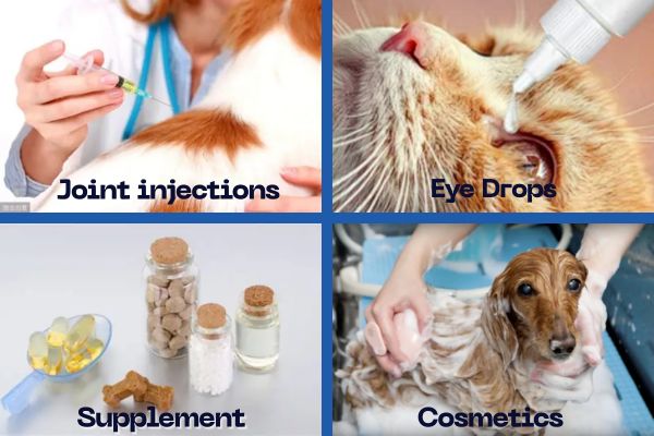 Pet-Grade Hyaluronic Acid Pet-Grade Hyaluronic Acid