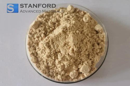 High-Temperature-Resistant α-Amylase