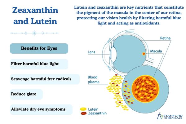 Zeaxanthin and Lutein for eyes