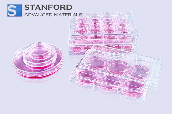 Poly-D-Lysine-coated Culture Dish