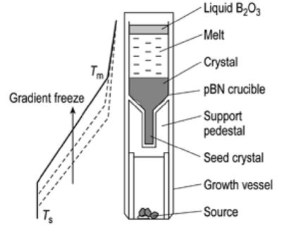 Technologies for Growing Gallium Arsenide Crystals: LEC vs. VGF