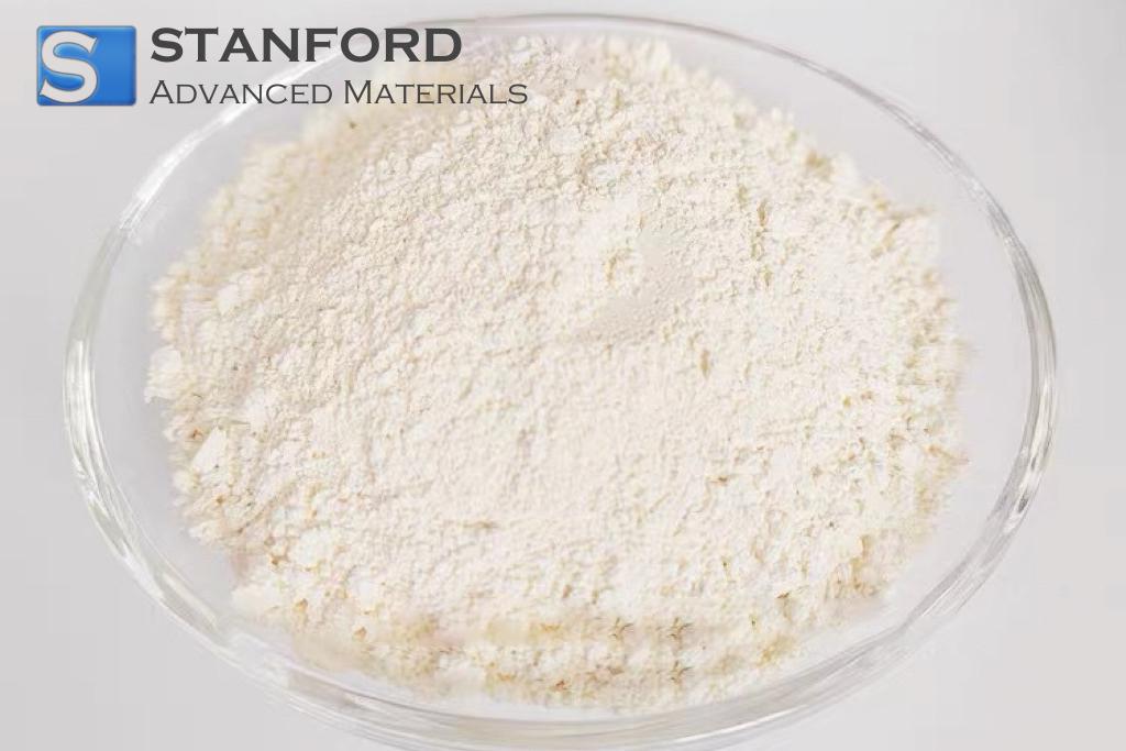 Cyclopent-1-en-1-ylboronic acid (CAS No.: 850036-28-1)