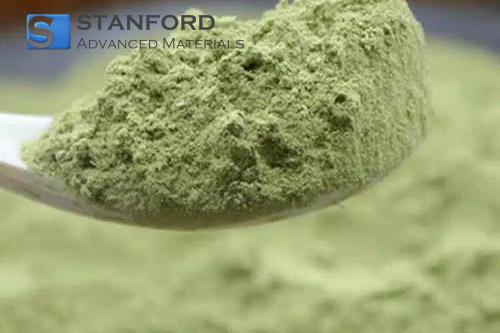 Pumpkin Seed Oil Powder
