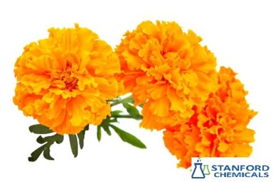 Lutein