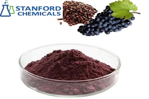 Grape Seed Extract