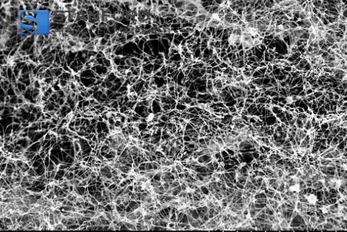 Boron Nitride Nanotubes
