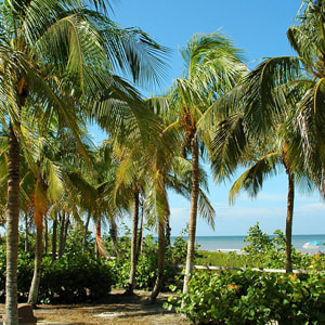 Florida solar lighting